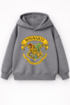 Harry Potter hoodie